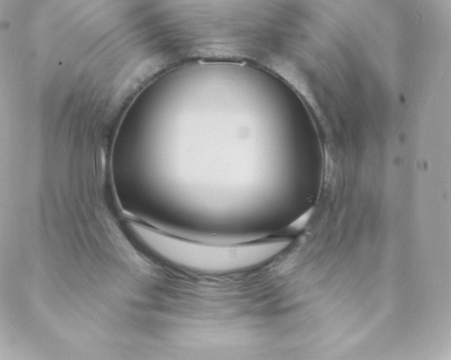 X0000088610109200706151837