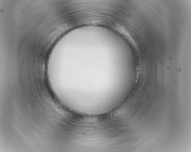 X0000088610110200706151837