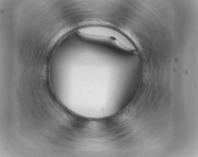 X0000088610111200706151837