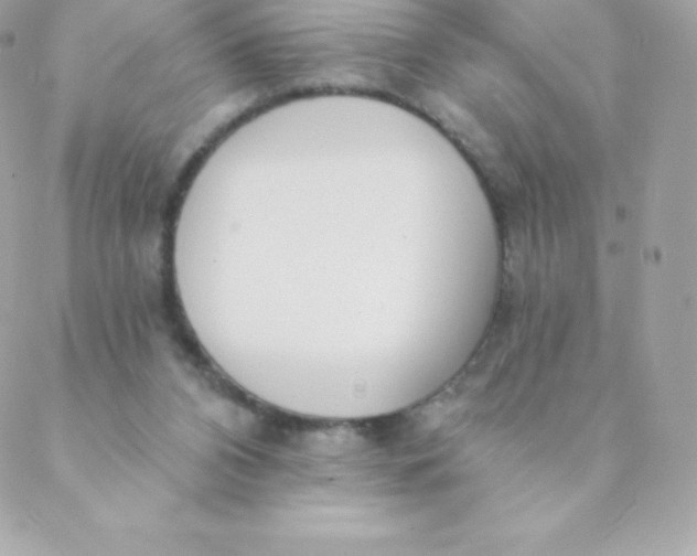 X0000088610112200706151837