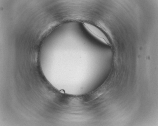 X0000088610115200706151837