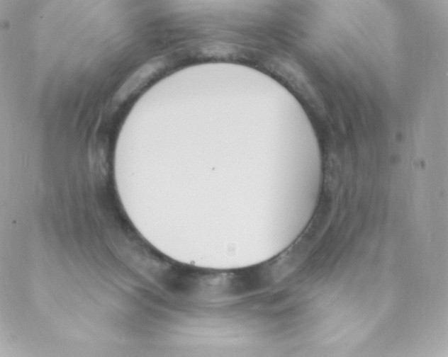 X0000088610116200706151837