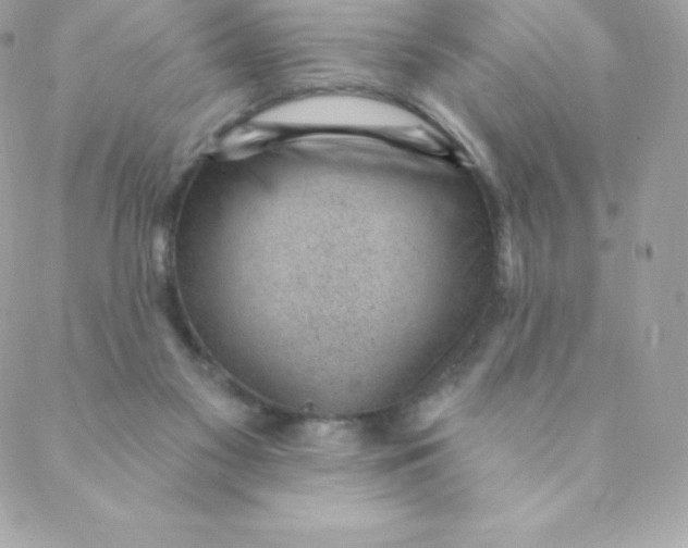 X0000088610117200706151837