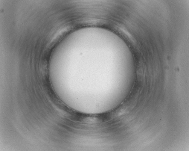 X0000088610119200706151837