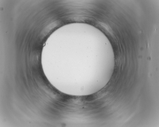 X0000088610120200706151837