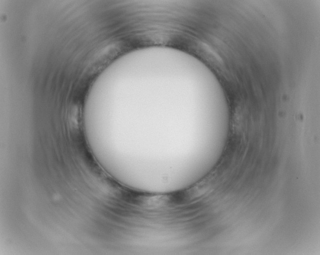 X0000088610122200706151837