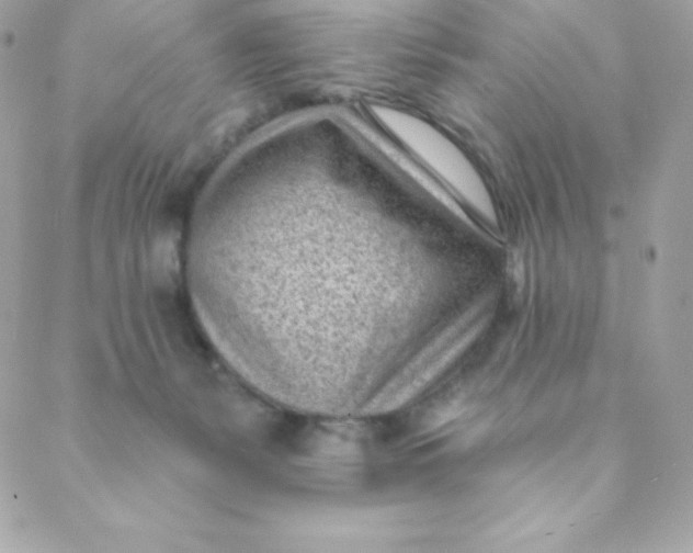 X0000088610127200706151837