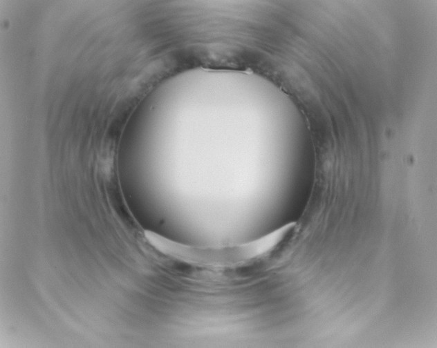 X0000088610129200706151837