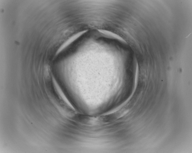 X0000088610130200706151836