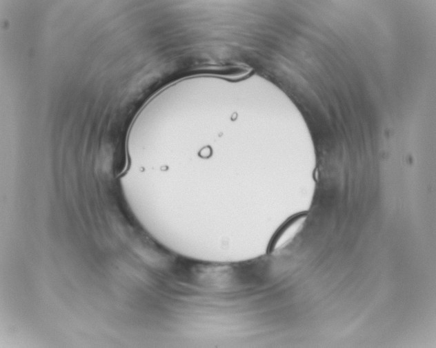 X0000088610132200706151836