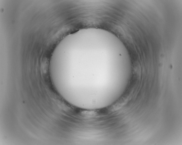 X0000088610133200706151836