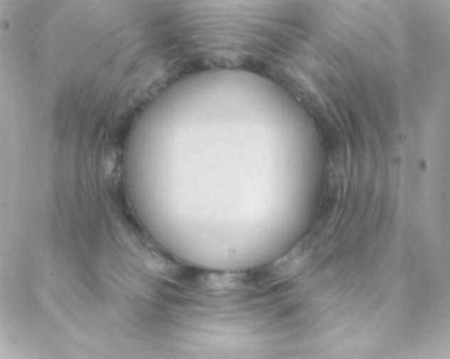 X0000088610134200706151836