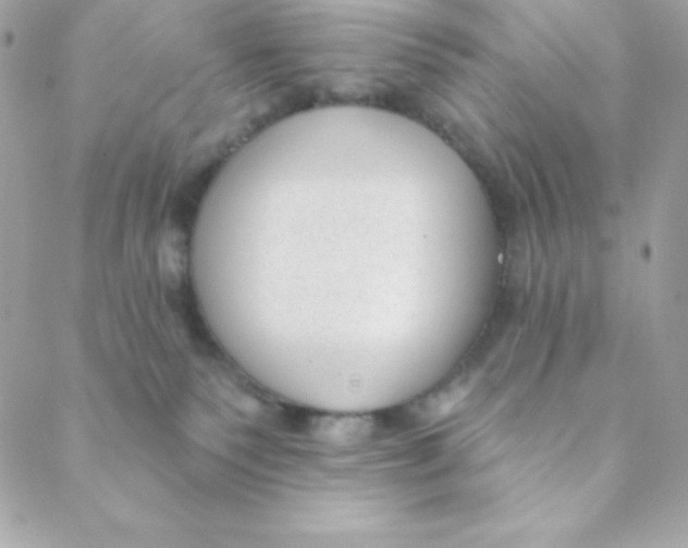 X0000088610135200706151836