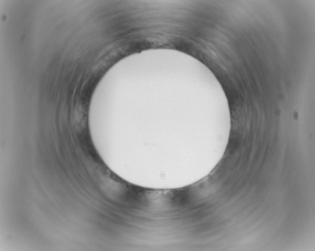 X0000088610136200706151836