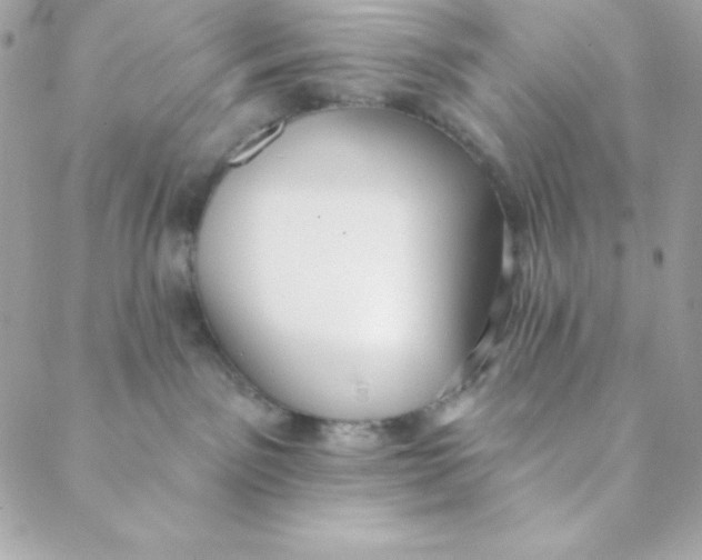 X0000088610141200706151836