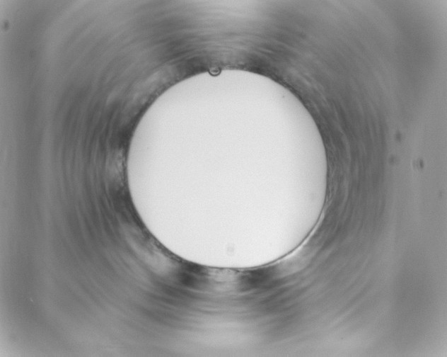 X0000088610144200706151836