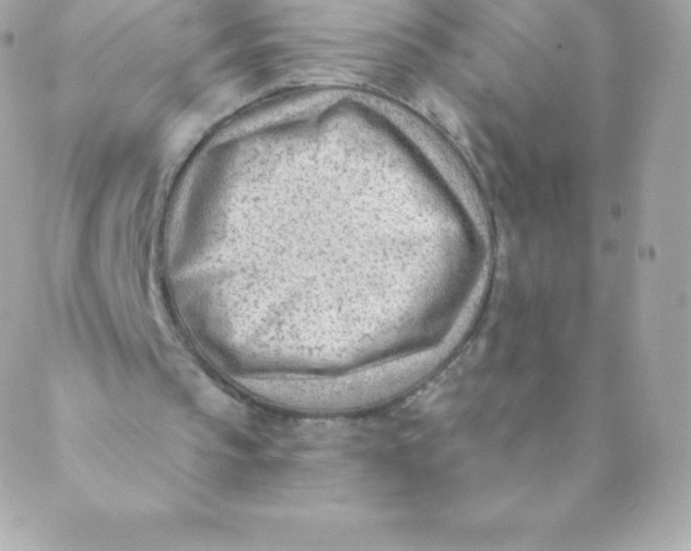 X0000088610145200706151835