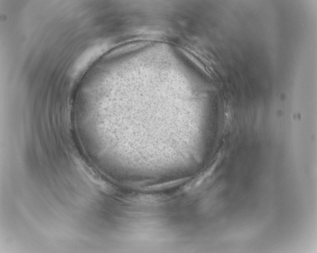 X0000088610149200706151836