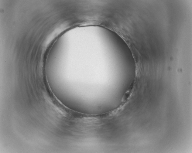 X0000088610150200706151836