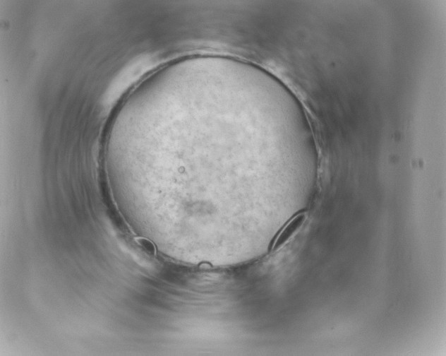 X0000088610151200706151836