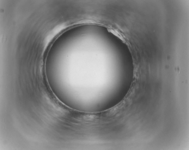 X0000088610152200706151836