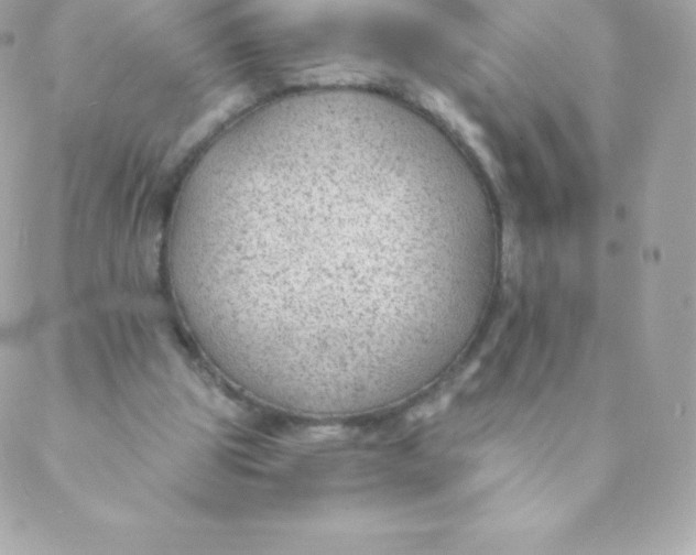 X0000088610153200706151836