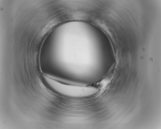 X0000088610154200706151836