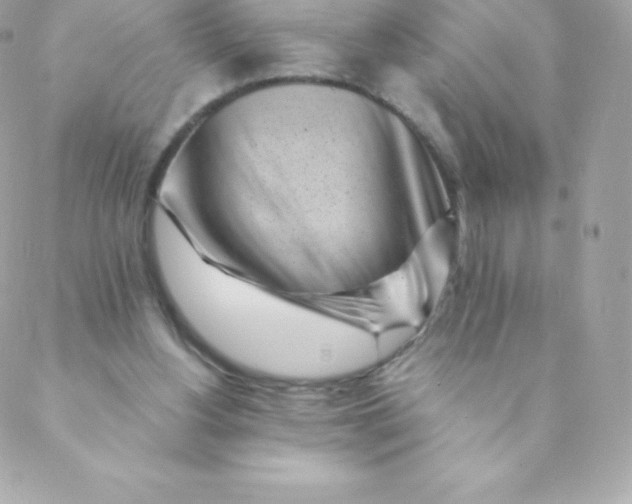 X0000088610156200706151836