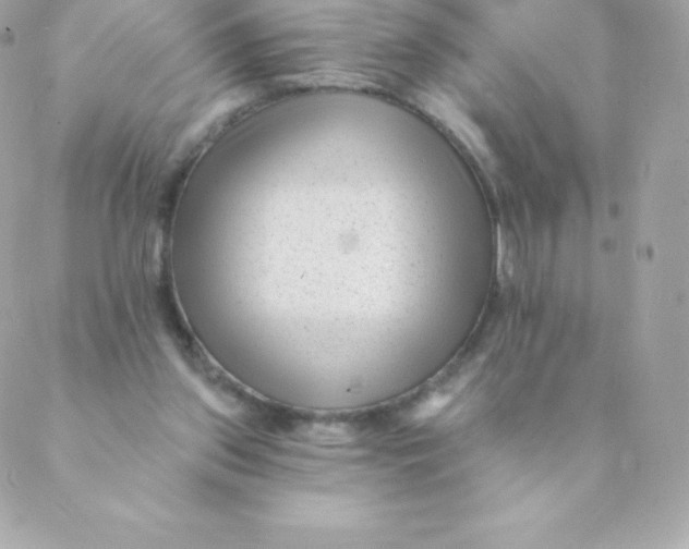 X0000088610157200706151836