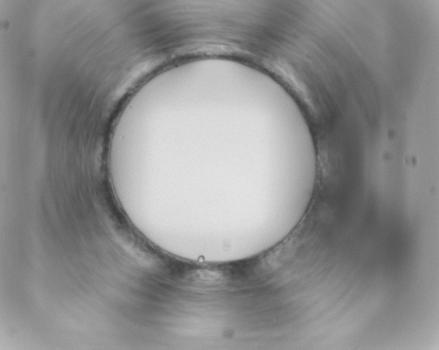 X0000088610159200706151836