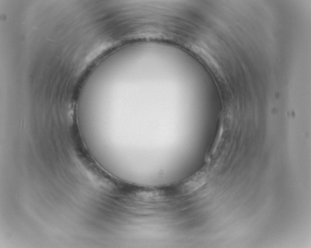 X0000088610160200706151836