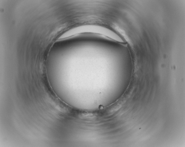 X0000088610161200706151836