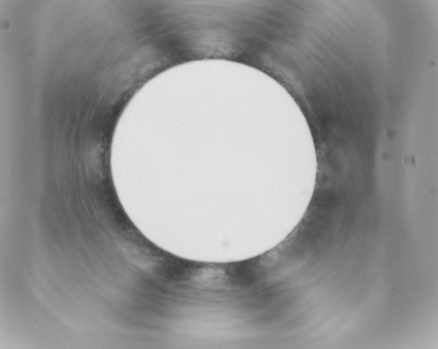 X0000088610162200706151836