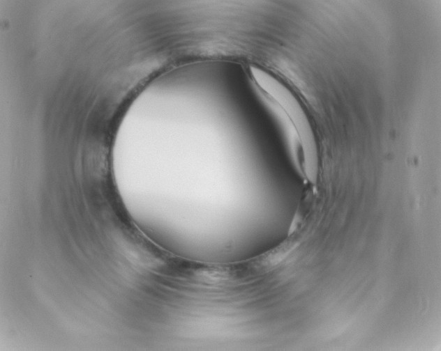 X0000088610164200706151836