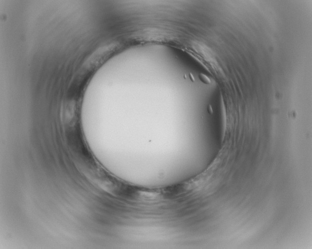 X0000088610167200706151836