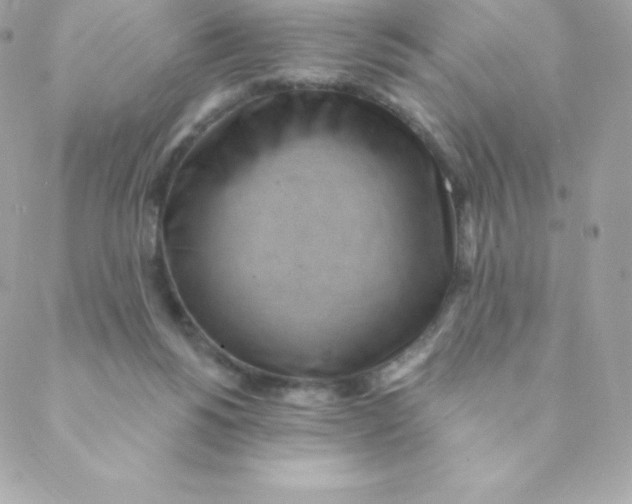 X0000088610168200706151836