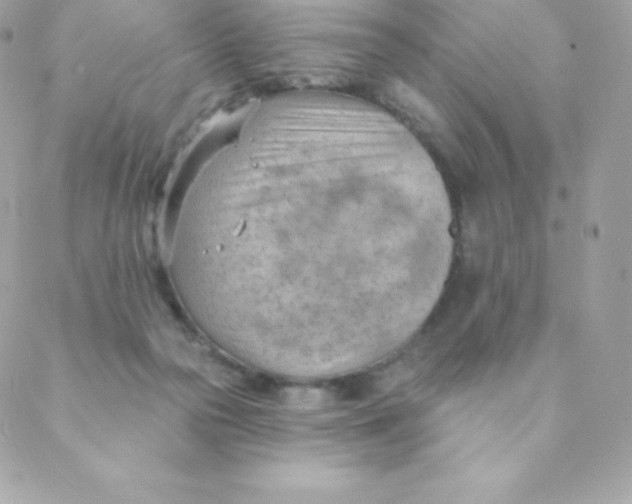 X0000088610169200706151836