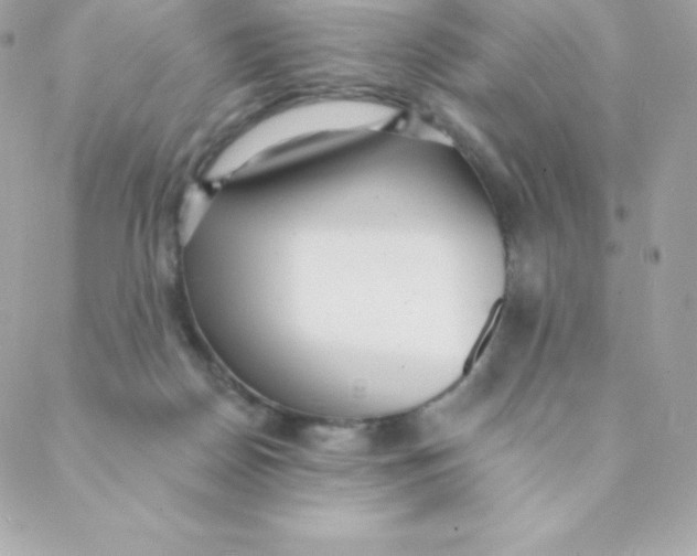 X0000088610170200706151836