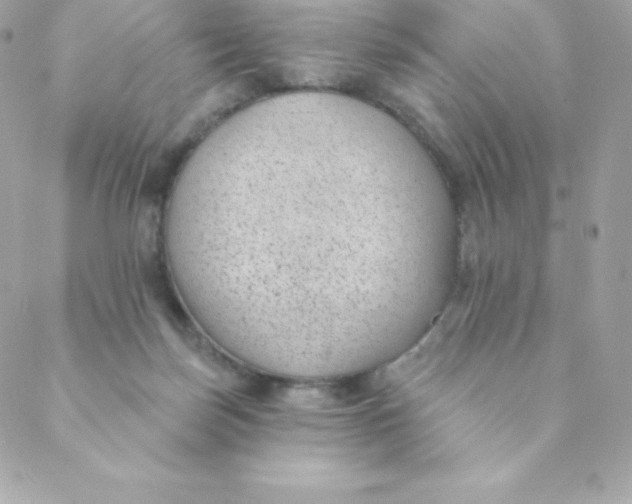 X0000088610171200706151836