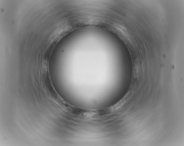 X0000088610172200706151836