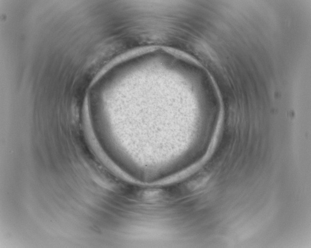 X0000088610173200706151836