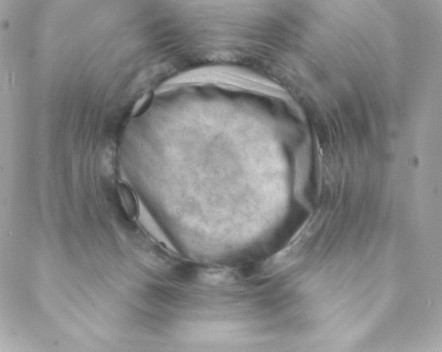 X0000088610175200706151836