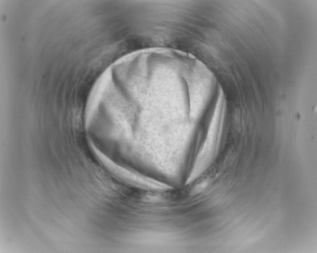 X0000088610177200706151836