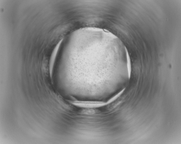 X0000088610181200706151836