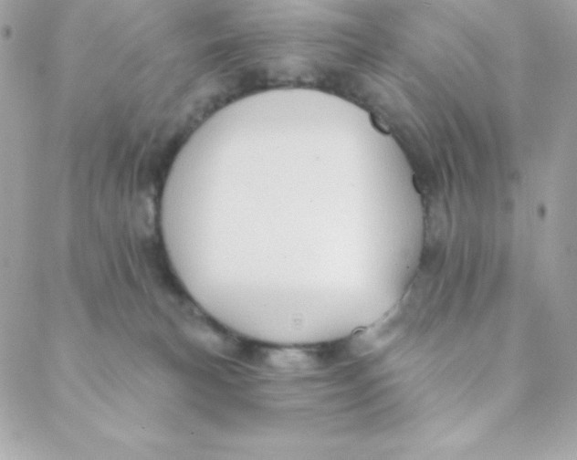 X0000088610183200706151836