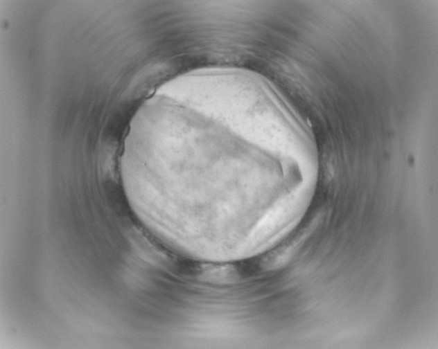 X0000088610185200706151836