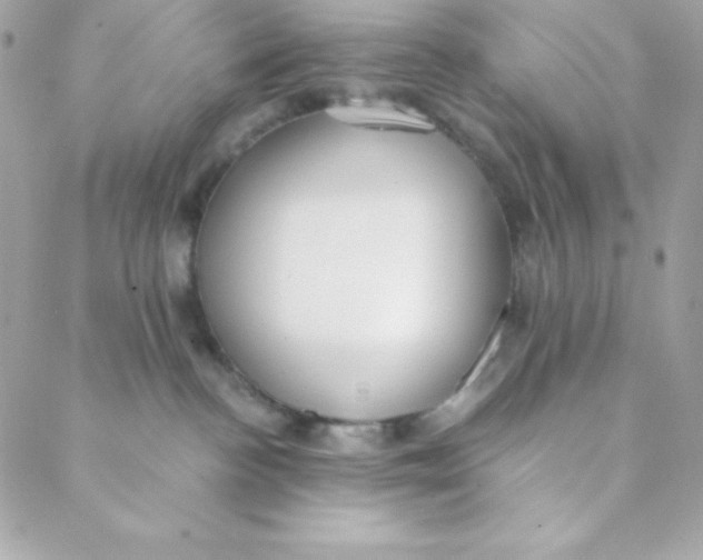 X0000088610188200706151836