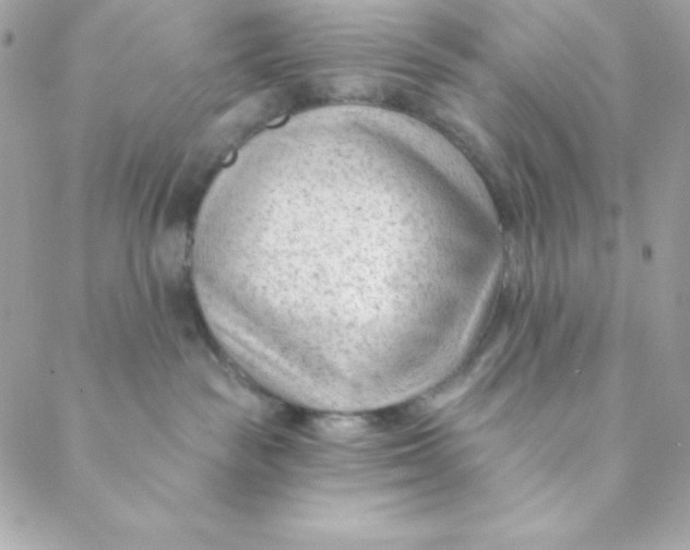 X0000088610189200706151836