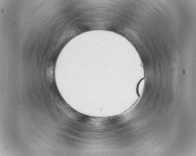 X0000088610190200706151836