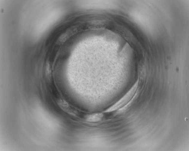 X0000088610191200706151836